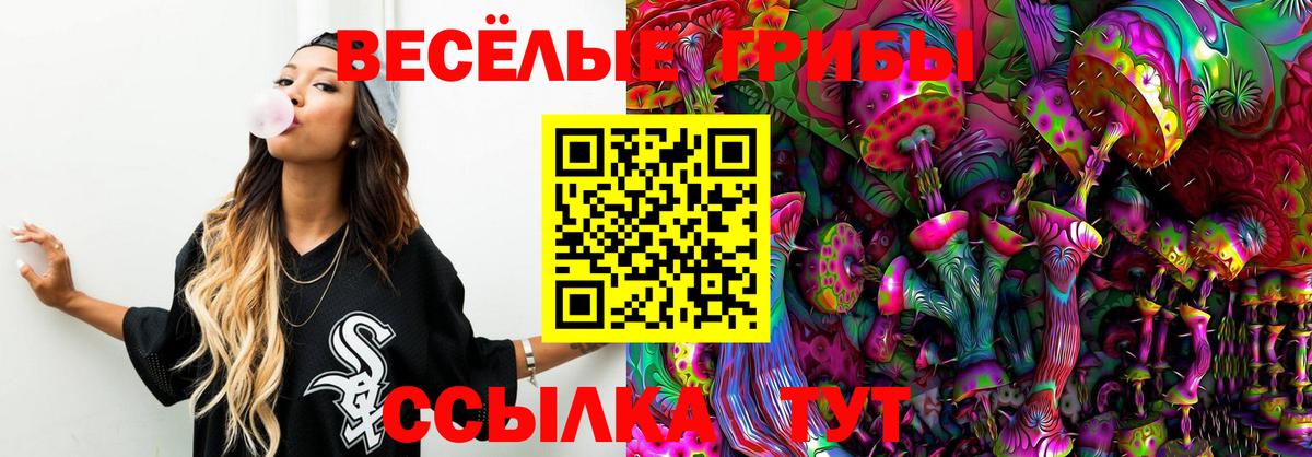 Советская Гавань  Псилоцибиновые грибы GOLDEN TEACHER  Вход с VPN  Псилоцибиновые грибы Cubensis 